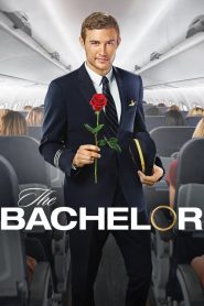 The Bachelor