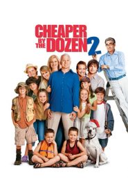 Cheaper by the Dozen 2